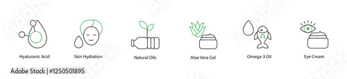 Hydrating Skincare Essentials: Hyaluronic Acid and Natural Oils