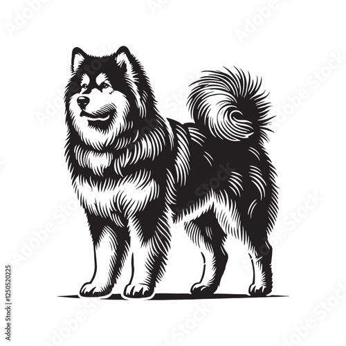 Distinctive Alaskan Malamute silhouette for stylish visuals - Alaskan Malamute illustration - minimal Alaskan Malamute vector - dog silhouette
