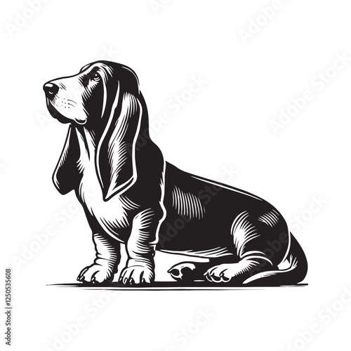 Basset Hound silhouette perfect for branding and custom artwork - Basset Hound illustration - minimal Basset Hound vector - dog silhouette
