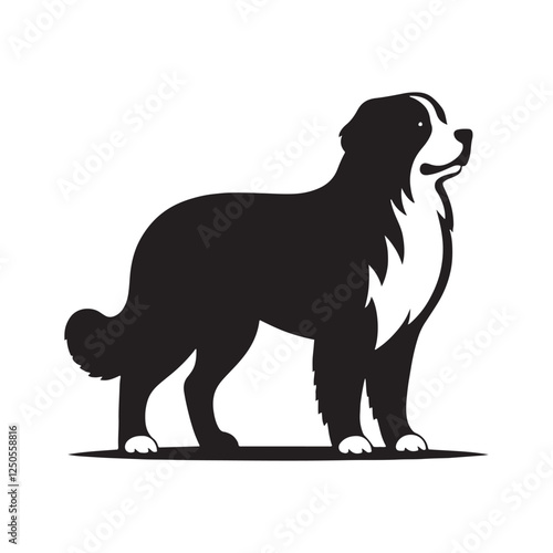Simple and refined Bernese Mountain Dog silhouette for branding - Bernese Mountain Dog illustration - minimal Bernese Mountain Dog vector 

