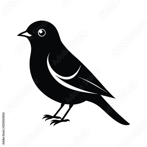 An European pied flycatcher bird.