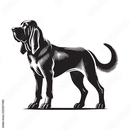 Bloodhound silhouette showcasing the breed’s distinctive head shape - Bloodhound illustration - minimal Bloodhound vector - dog silhouette
