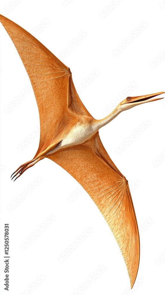 Pterosaur Soaring in Flight Against a Clear Sky - Ideal for Educational or Paleontological Illustrations