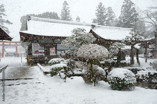 雪の上賀茂神社　境内の積雪　京都市北区 photo