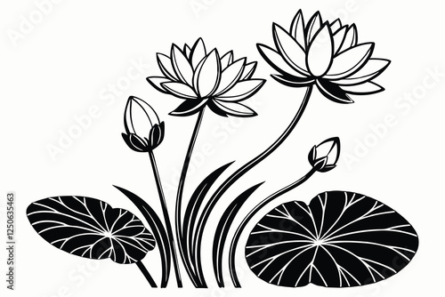 A black colour line art waterlily or lotus plants