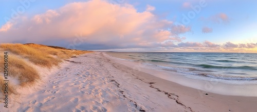 Fototapeta Naklejka Na Ścianę i Meble -  Sandy beach at sunrise in Bunker Aalbaek Bay along the Baltic Sea in North Jutland Denmark showcasing serene coastal beauty.
