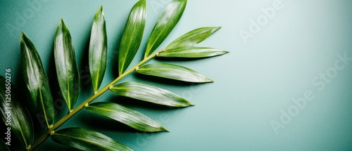 Green Leaf Branch on Teal Background