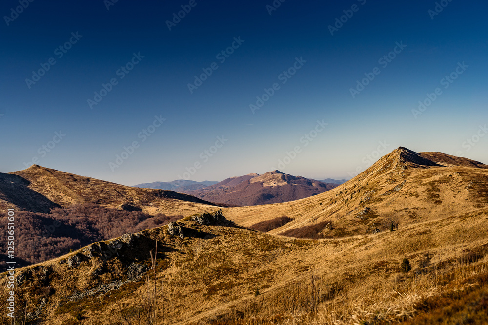 Naklejka premium Scenic autumn landscapes from a trekking loop in Bieszczady, featuring views from Tarnica, Halicz, Rozsypaniec, Bukowe Berdo, Połonina Wetlińska, and the Ukrainian Bieszczady under a clear blue sky