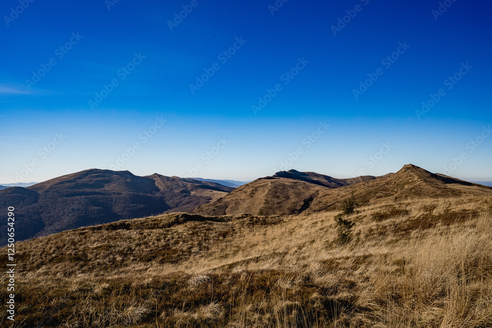 Fototapeta premium Scenic autumn landscapes from a trekking loop in Bieszczady, featuring views from Tarnica, Halicz, Rozsypaniec, Bukowe Berdo, Połonina Wetlińska, and the Ukrainian Bieszczady under a clear blue sky