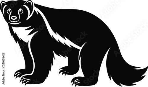 Premium quality North American wolverine isolated silhouette and line art vector design