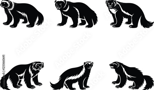 Premium quality North American wolverine isolated silhouette and line art vector set design