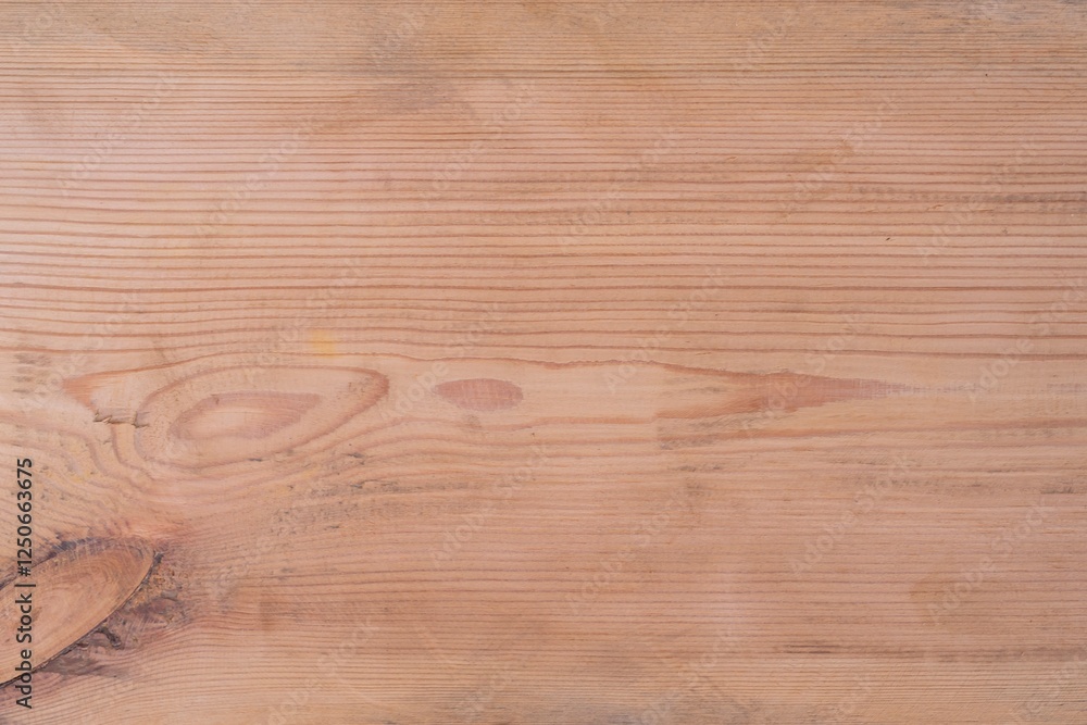 Obraz premium Tree trunk texture for background. Wooden surface.