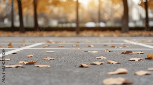 Fallen autumn leaves scattered across deserted parking lot, surrounded by trees, softly illuminated by golden sunset light