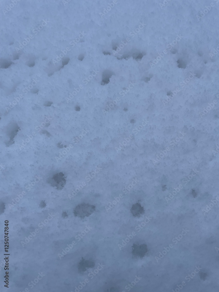 Obraz premium snow on the window