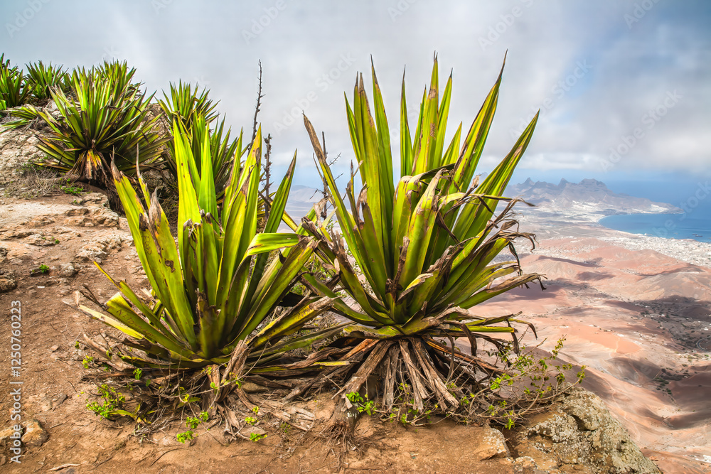 Scenic View of Coastal City Surrounded by Mountains and Sea, Sao Vicente, Cape Verde