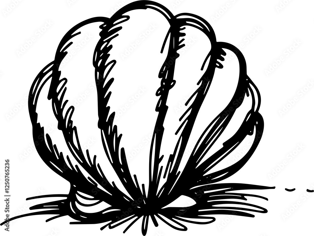 Minimalistic black ink shell drawing on white background, artistic concept Minimalistic black ink shell drawing on white background, artistic concept