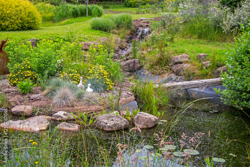 Jardin d'eau et végétation