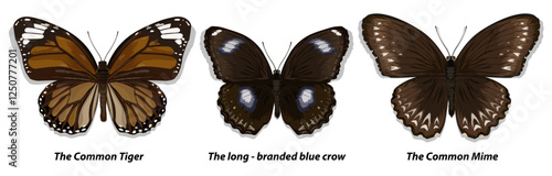 Collection of multicolored butterflies. Set 1. Vector illustration.