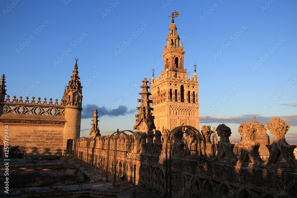 Fototapeta premium La Giralda, a former minaret of the great mosque of Seville (Spain), later converted to a bell tower for the Cathedral.