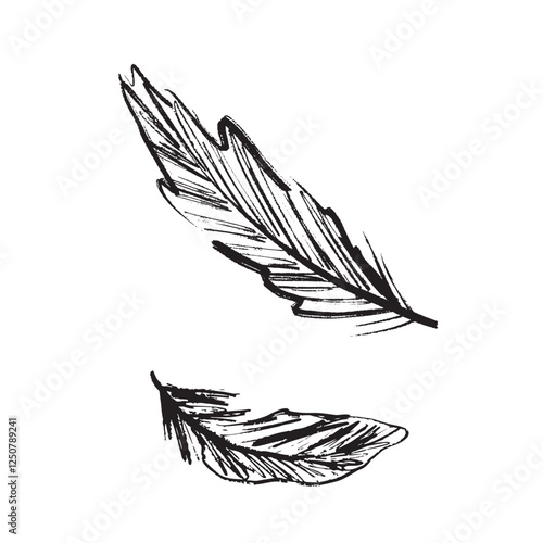 Bird feather drawing in black brush stroke texture isolated on white background. Hand drawn vector sketch illustration in vintage charcoal ink. Bird part, weightless symbol, pillow filling