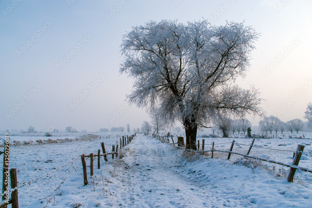 Piękno śnieznej i mroznej zimy w Dolinie Narwi i Biebrzy - Podlasie, Polska