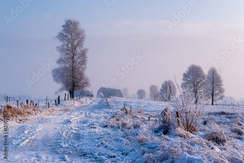 Piękno śnieznej i mroznej zimy w Dolinie  Narwi i Biebrzy - Podlasie, Polska photo