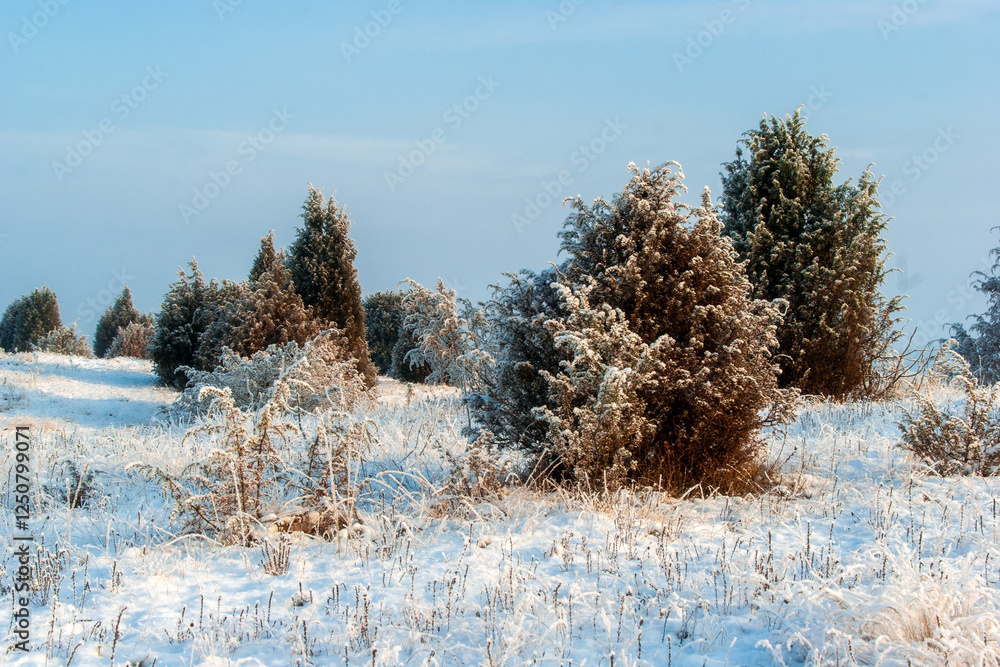 Piękno śnieznej i mroznej zimy w Dolinie Narwi i Biebrzy - Podlasie, Polska