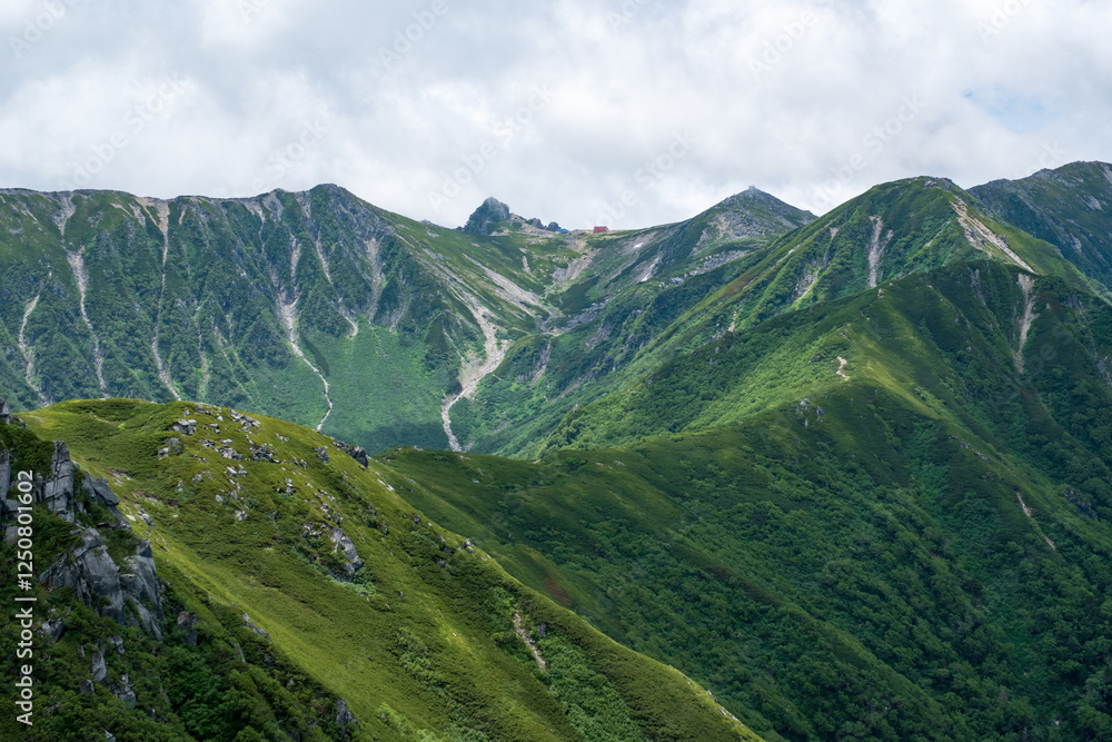 Fototapeta premium 夏の風景