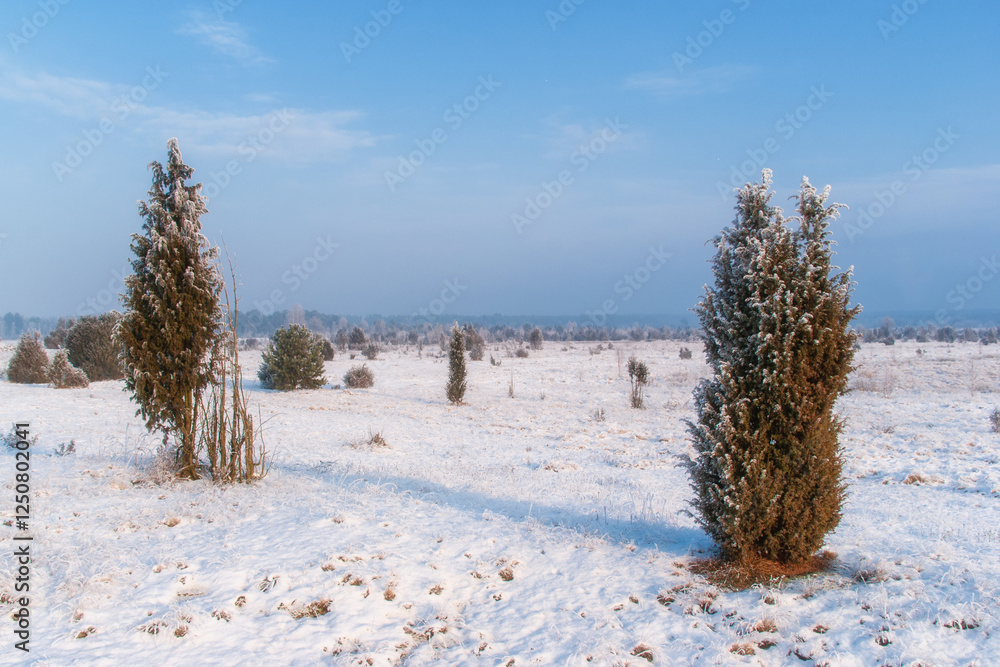 Piękno śnieznej i mroznej zimy w Dolinie Narwi i Biebrzy - Podlasie, Polska
