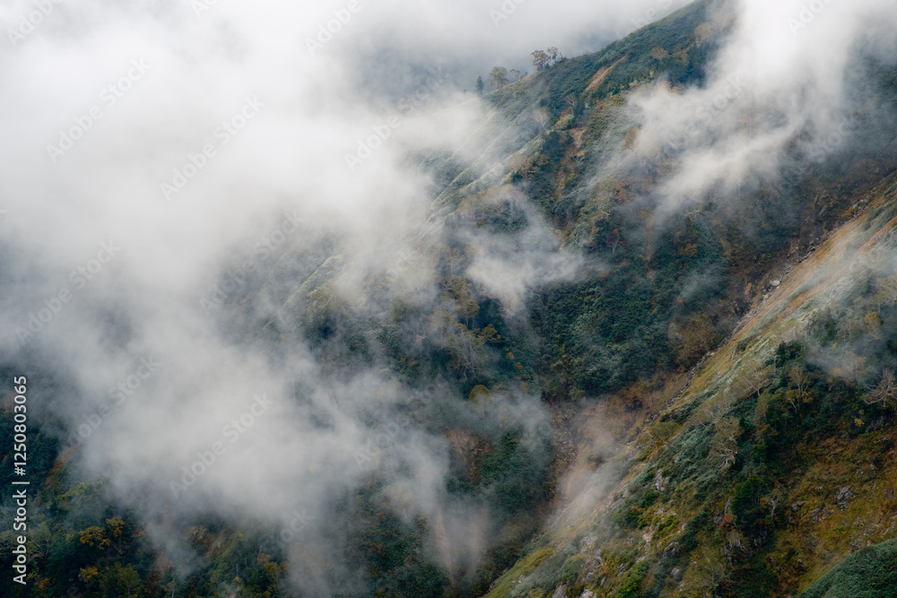 Obraz premium 秋の風景