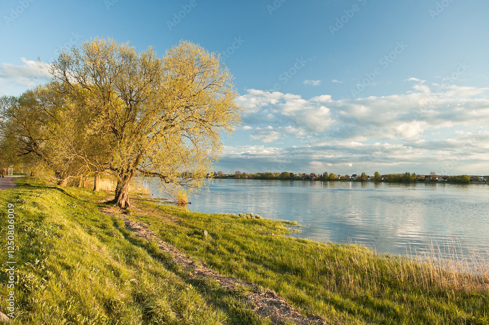 sunset in the park, in the photo the shore, river, trees and blue sky with clouds sunset in the park, in the photo the shore, river, trees and blue sky with clouds
