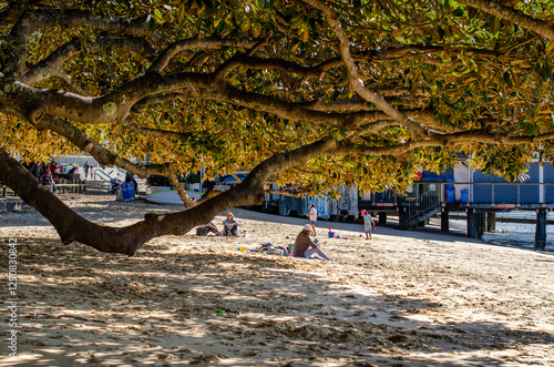 Balmoral Beach, Sydney, with spreading branches of an ancient tree. In the distance, beachgoers relax and enjoy summer fun, capturing the laid-back Australian beach lifestyle and livable atmosphere photo