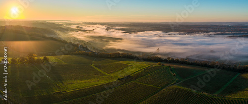 France, Gironde, Langoiran, Aerial view of Premieres Cotes de Bordeaux vineyard in Entre-Deux-Mers, Bordeaux vineyard at sunrise with fog over the Garonne river. High quality photo