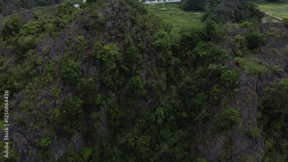 Lush limestone mountains with greenery in Tam Coc, Vietnam, evoke tranquility and nature Lush limestone mountains with greenery in Tam Coc, Vietnam, evoke tranquility and nature