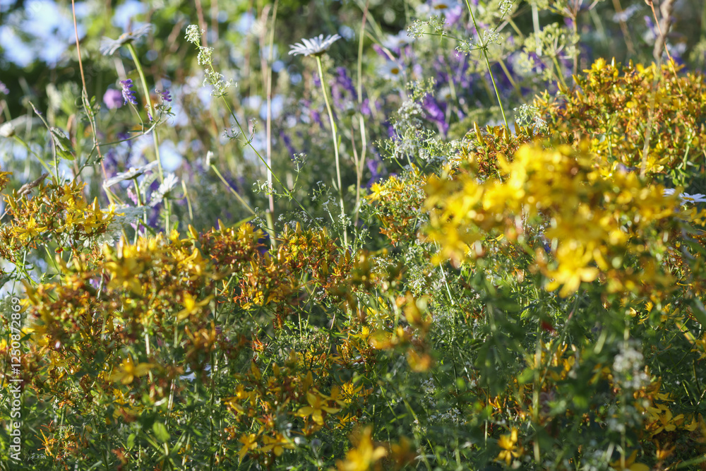a beautiful bouquet of flowers with lots of yellow and purple flowers.
a beautiful bouquet of flowers with lots of yellow and purple flowers.