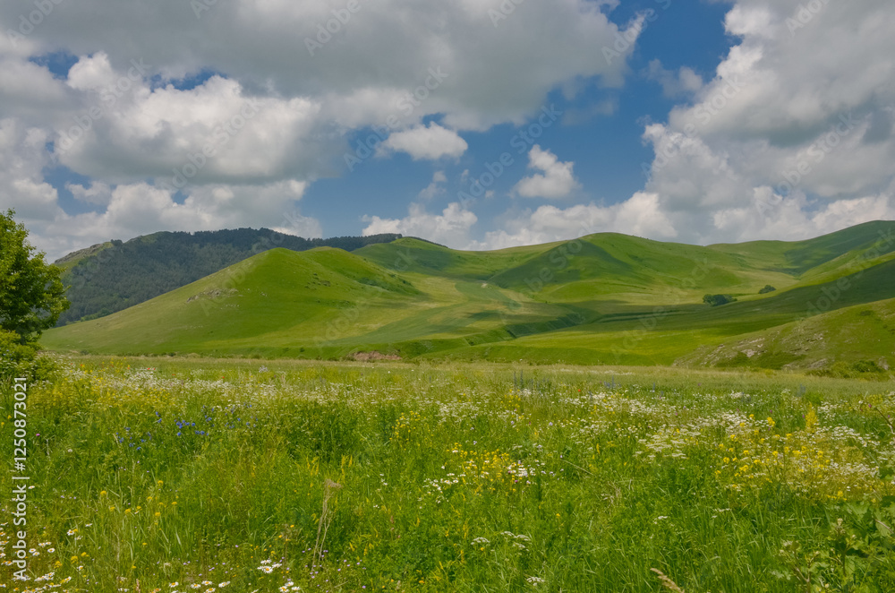 Obraz premium Urut river valley between Sverdlov and Privolnoye villages in Lesser Caucasus (Lori province, Armenia)