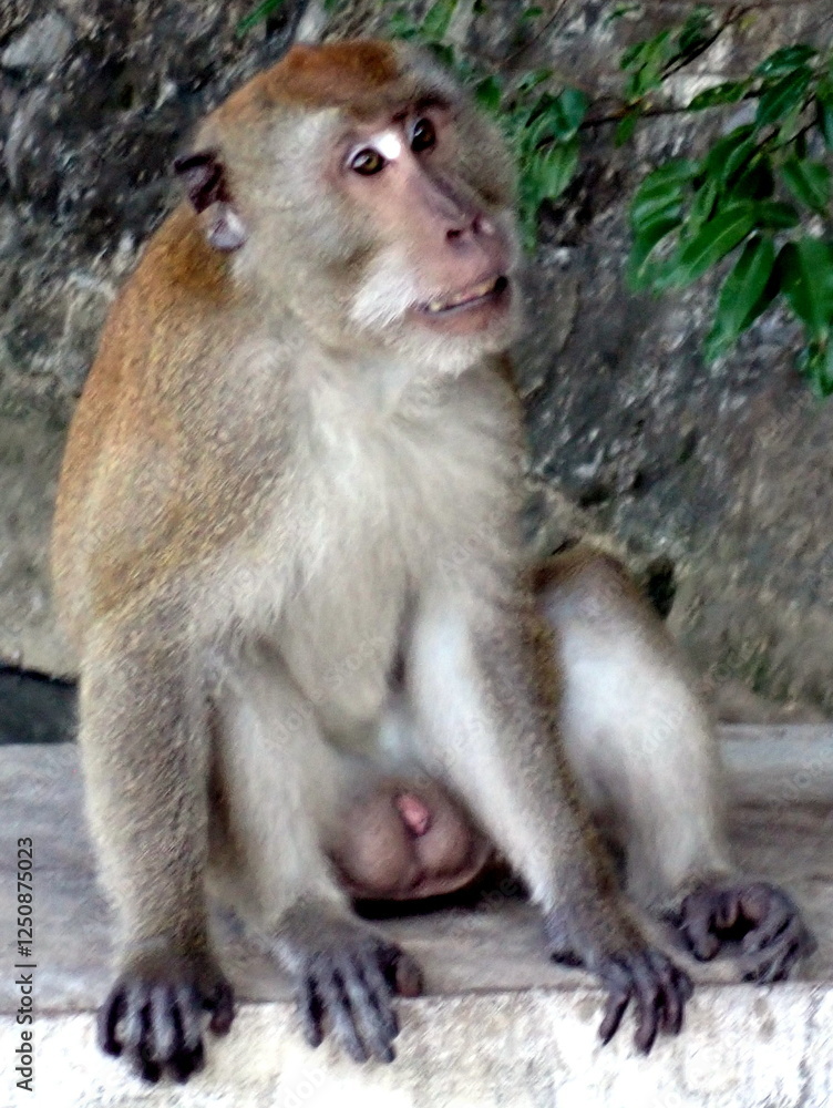 Thailand, Ao Nang. Thailand, Ao Nang.
