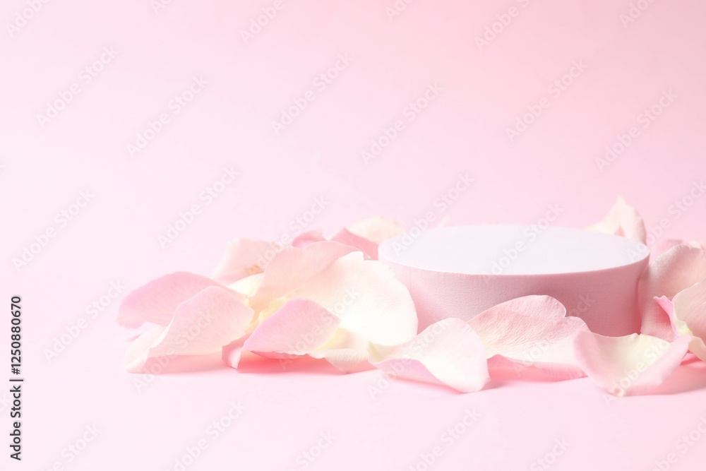 Pink rose petals with podium on a color background Pink rose petals with podium on a color background