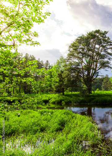 Lush green field with a body of water in the foreground