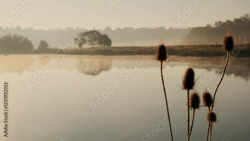 Early morning mist over a tranquil lake