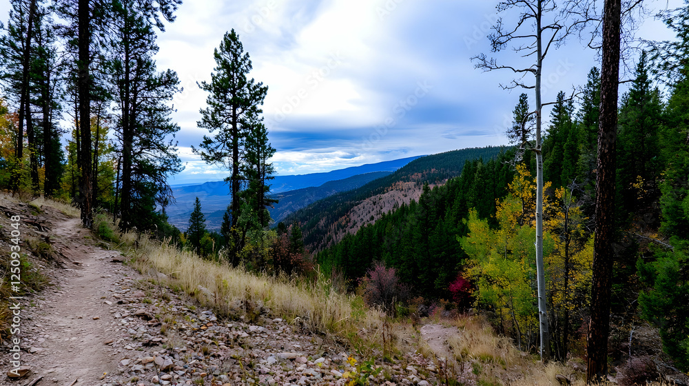 Scenic trail amidst mountain forests, serene hike backdrop, ideal for nature promotion Scenic trail amidst mountain forests, serene hike backdrop, ideal for nature promotion