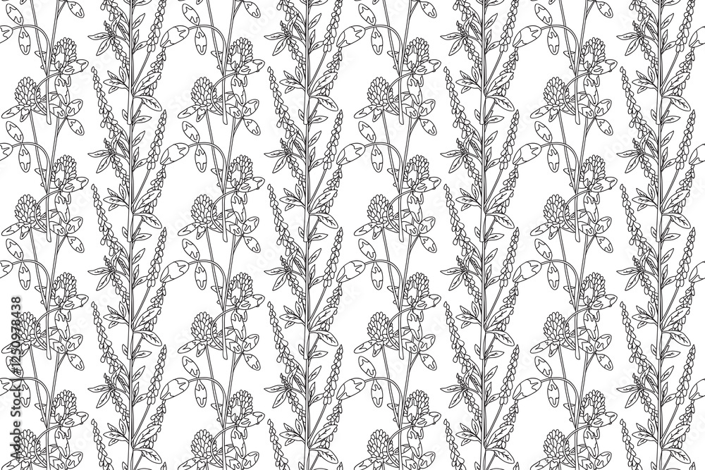 Line art botanical abstract seamless plant pattern with Clover wildflowers vector illustration. Black and white outline repeating floral background. Graphic design for Wallpaper Textile Cover Birthday Line art botanical abstract seamless plant pattern with Clover wildflowers vector illustration. Black and white outline repeating floral background. Graphic design for Wallpaper Textile Cover Birthday