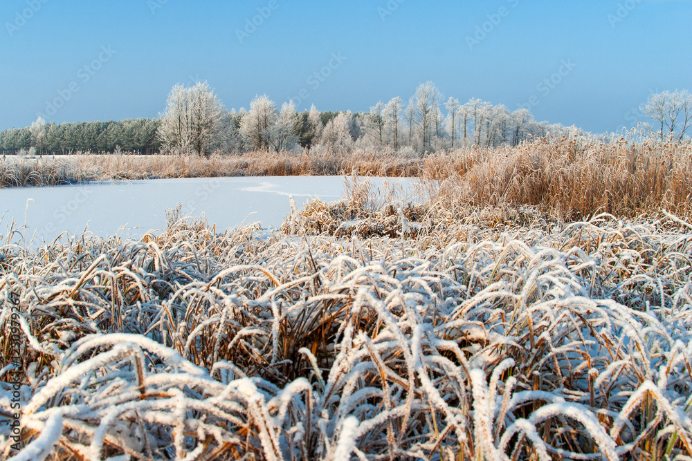 Piękno śnieznej i mroznej zimy w Dolinie Narwi i Biebrzy - Podlasie, Polska