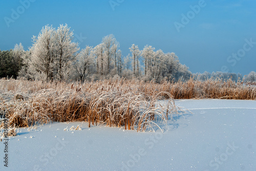  Piękno śnieznej i mroznej zimy w Dolinie Narwi i Biebrzy - Podlasie, Polska