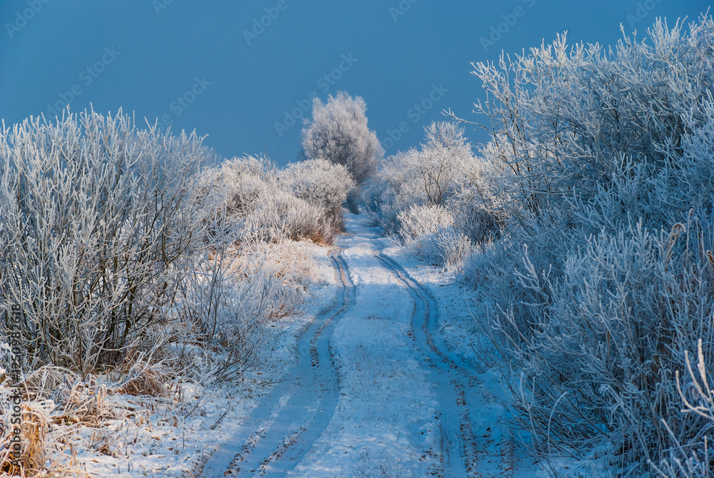 Piękno śnieznej i mroznej zimy w Dolinie Narwi i Biebrzy - Podlasie, Polska