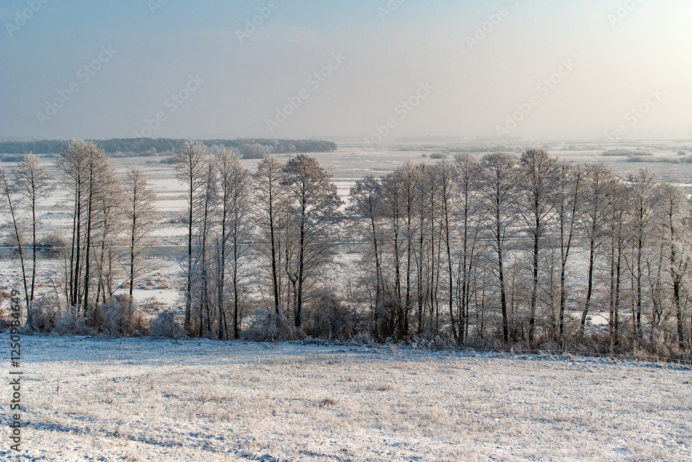 Piękno śnieznej i mroznej zimy w Dolinie Narwi i Biebrzy - Podlasie, Polska