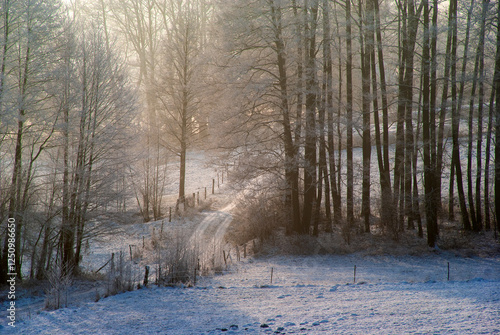 Obraz na płótnie Piękno śnieznej i mroznej zimy w Dolinie Narwi i Biebrzy - Podlasie, Polska w salonie