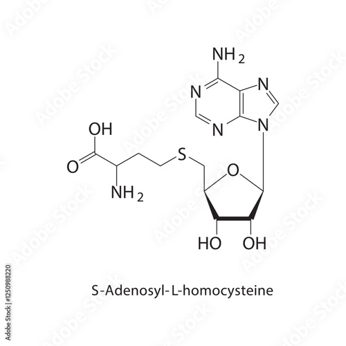 Allylchlorodimethylsilane skeletal structure.Organosilicon compound compound schematic illustration. Simple diagram, chemical structure.