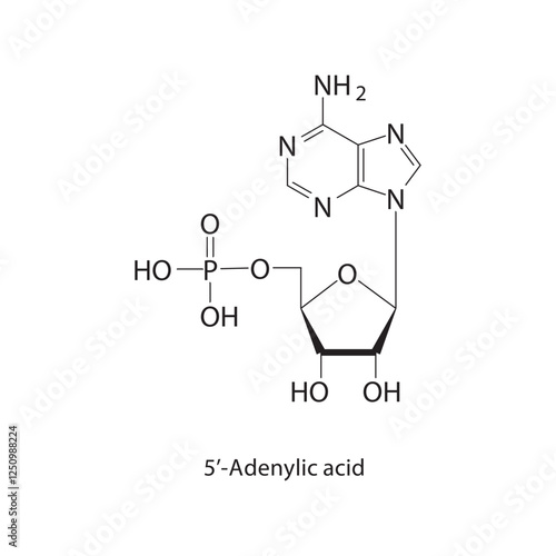 Allyl chloroformate skeletal structure.Chloroformate ester compound schematic illustration. Simple diagram, chemical structure.