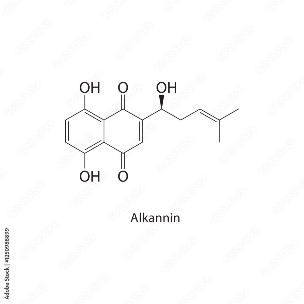 N-Allyl-2-propen-1-amine skeletal structure.Amine compound schematic illustration. Simple diagram, chemical structure. N-Allyl-2-propen-1-amine skeletal structure.Amine compound schematic illustration. Simple diagram, chemical structure.